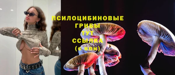 MDMA Армянск